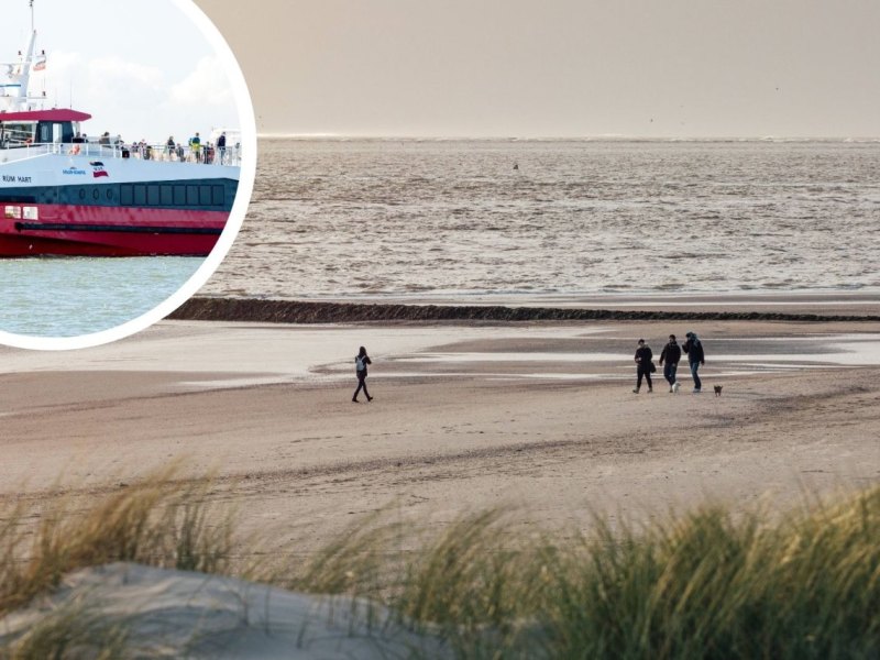 Norderney_Katamaran.jpg