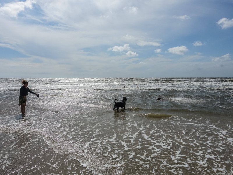 Nordsee.jpg