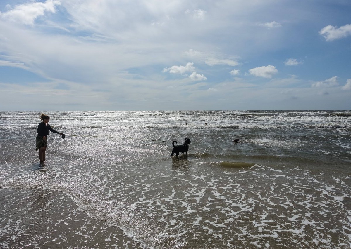 Nordsee.jpg