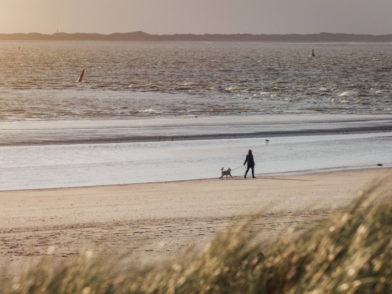 Nordsee.jpg