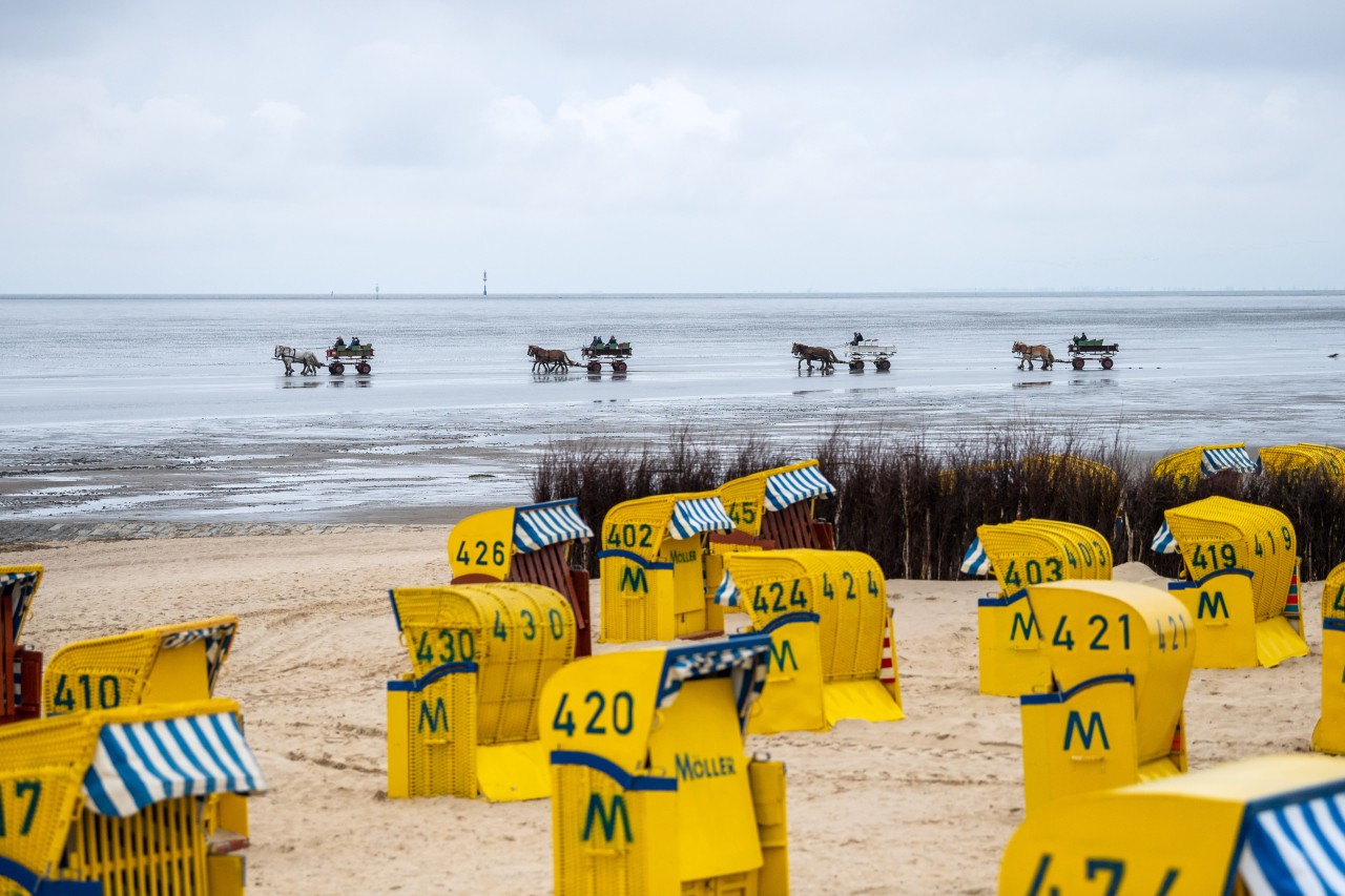 Strandkörbe in Cuxaven.