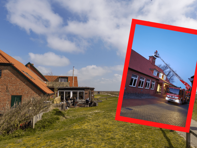 Nordsee Juist Wetterfahne Inselschule