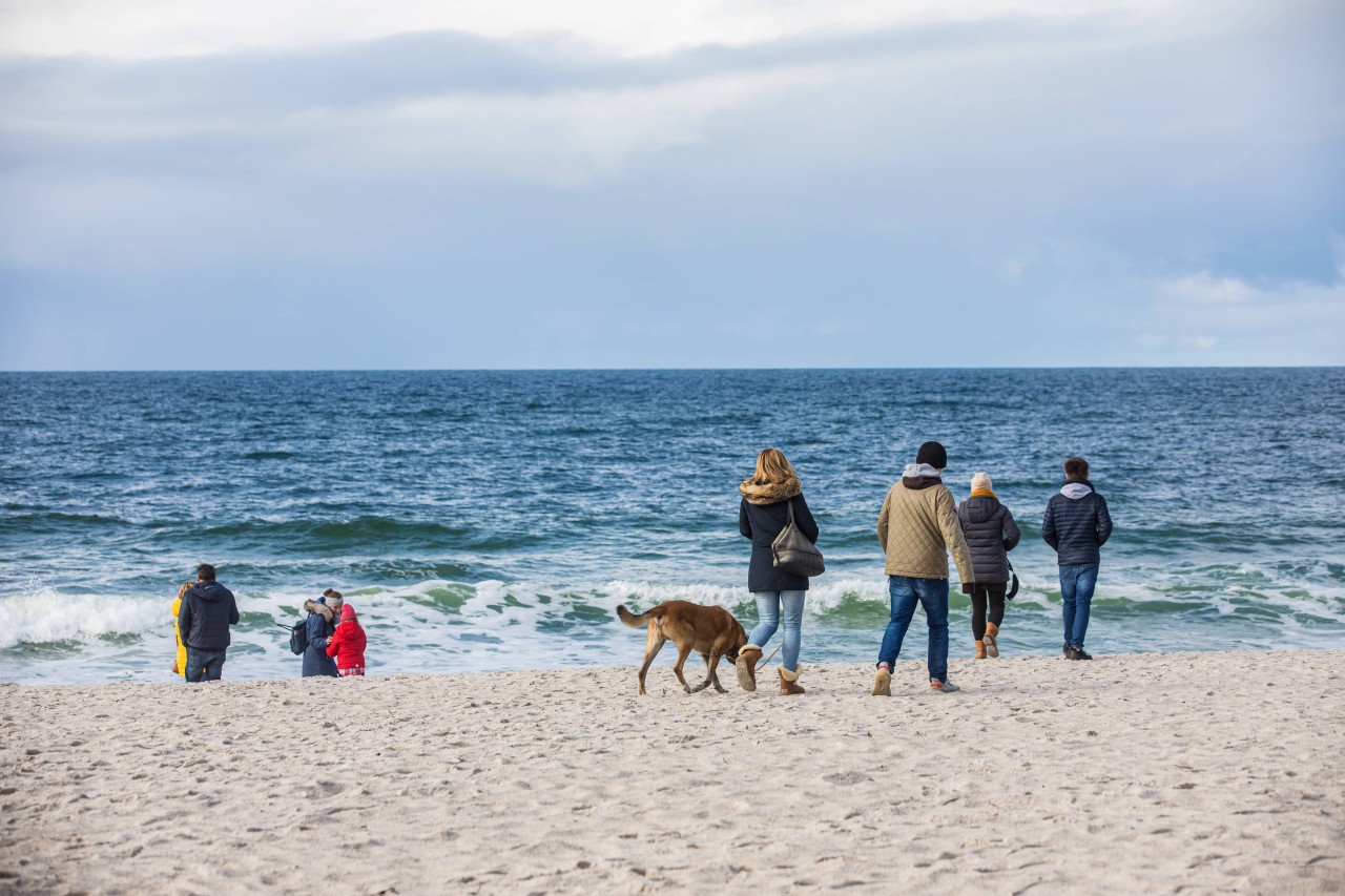 Einen Spaziergang an der Nordsee finden viele Sylt-Fans harmlos.