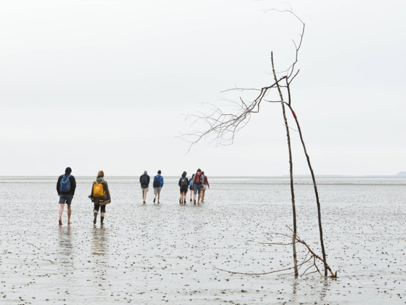 Nordsee Wattenmeer.jpg