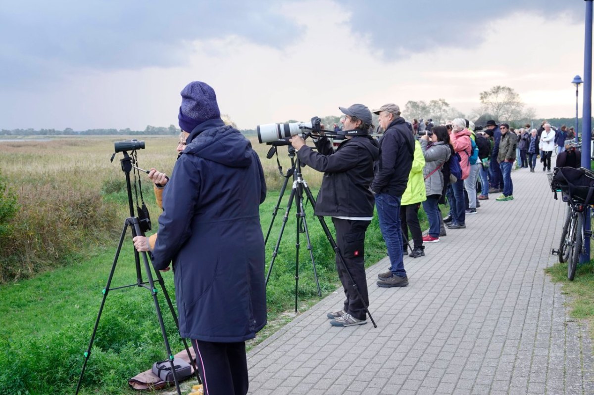 Ostsee.jpg