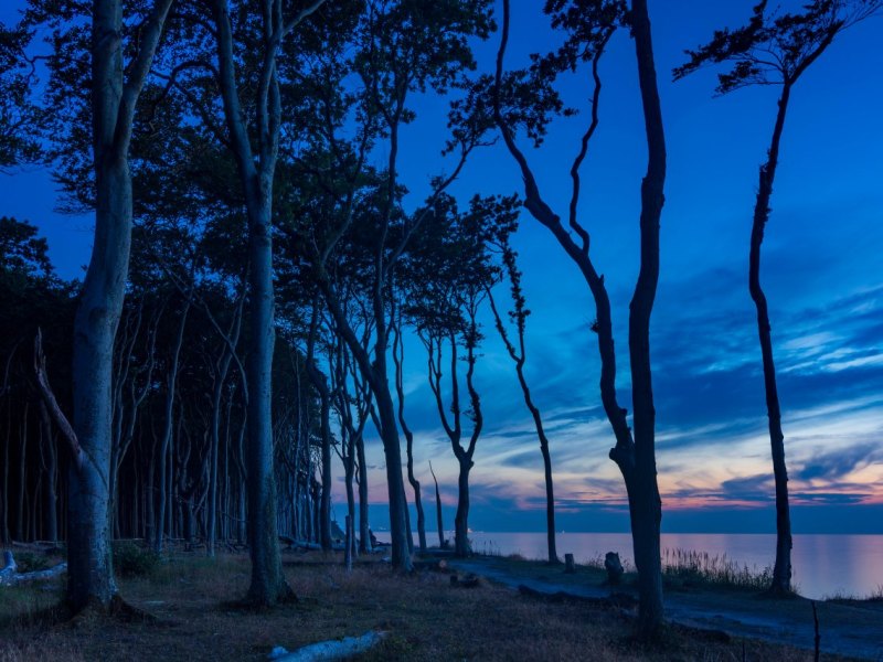 Ostsee.jpg