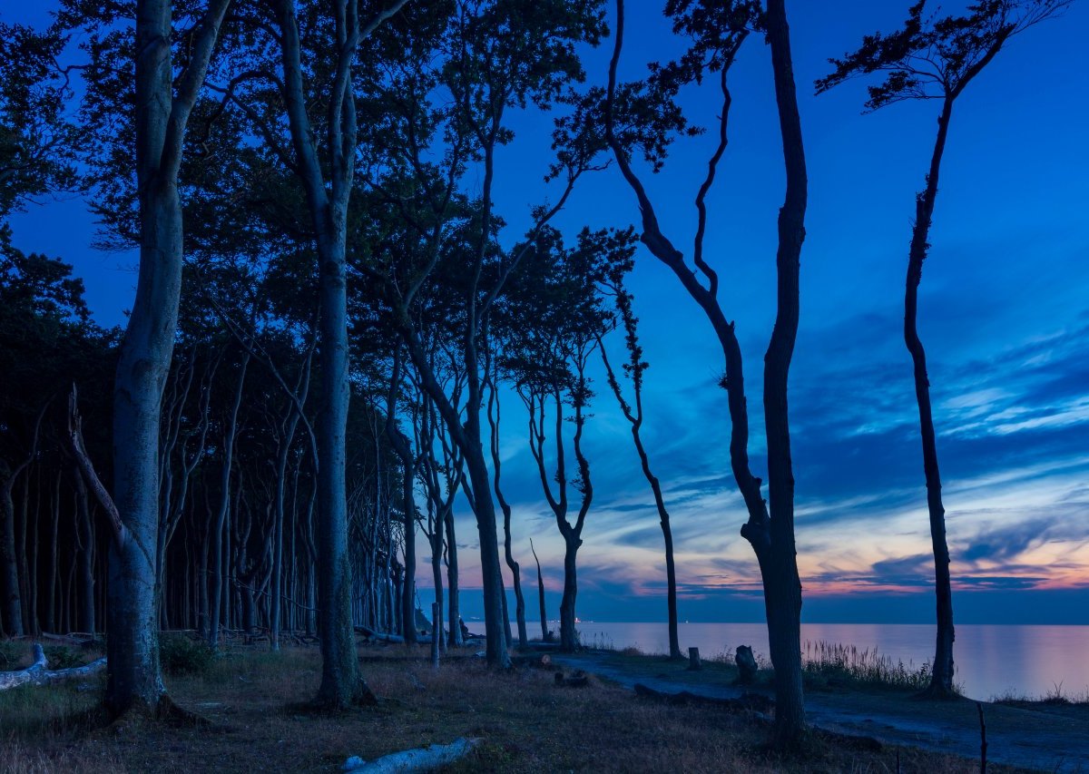 Ostsee.jpg