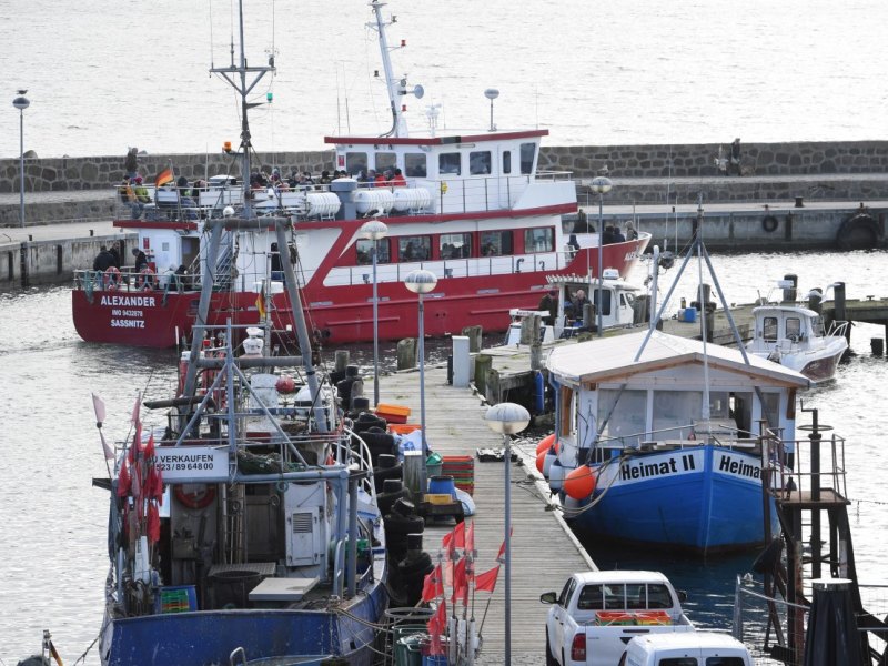 Ostsee Nordsee Fisch der Jahres Hering Hansestadt