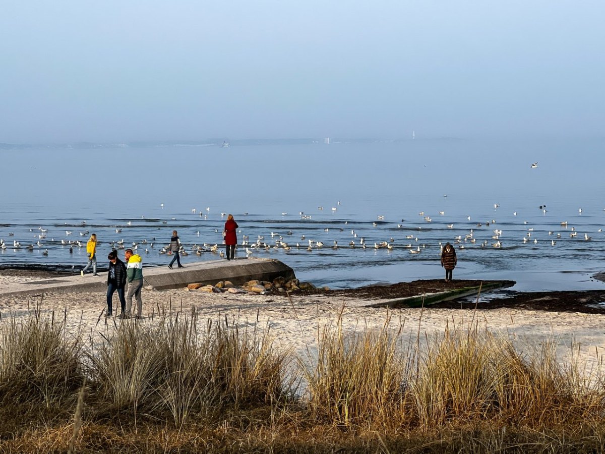 Ostsee Scharbeutz Seebrücke.jpg