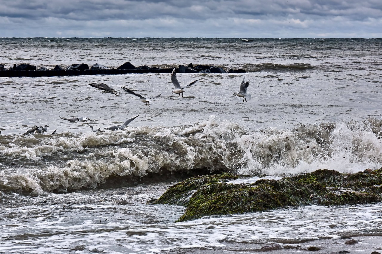 Im Herbst wird es an der Ostsee deutlich windiger.