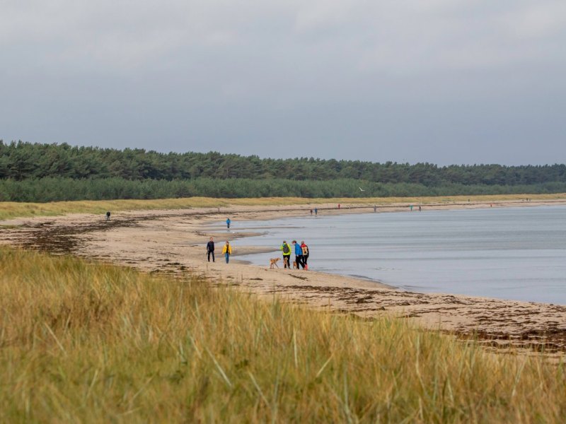 Rügen Ostsee Brackwasser Muschelart Biosphärenreservat Wissenschaftler