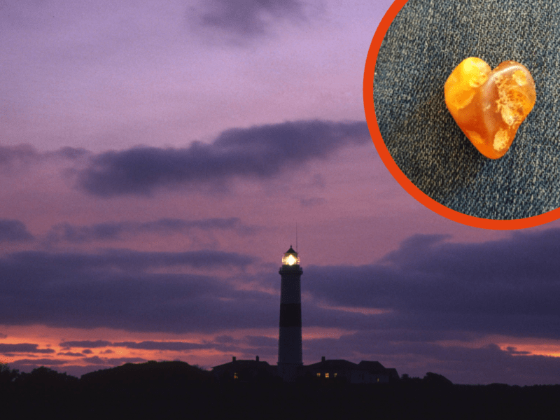 Sankt Peter-Ording Bernstein Strand Nordsee