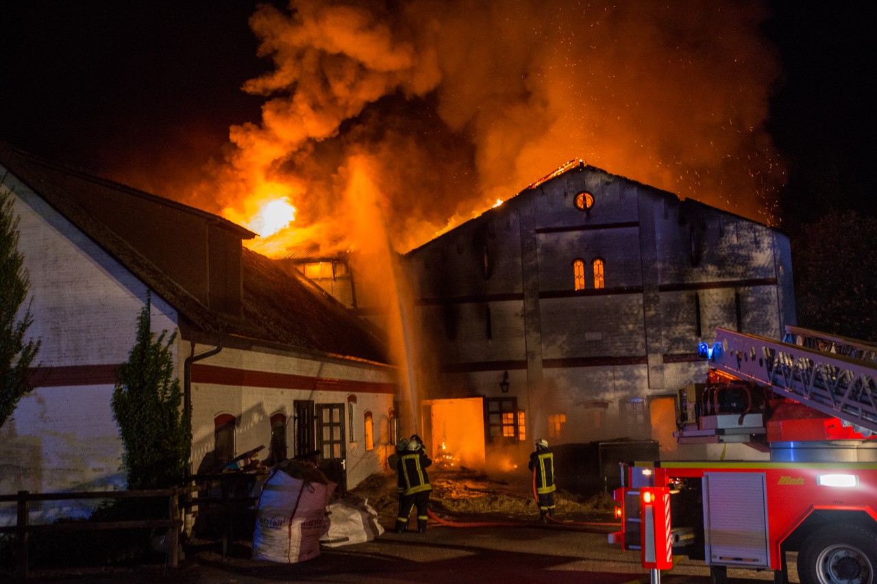 Einsatzkräfte versuchen die Lage auf dem Grönwohldhof zu kontrollieren.