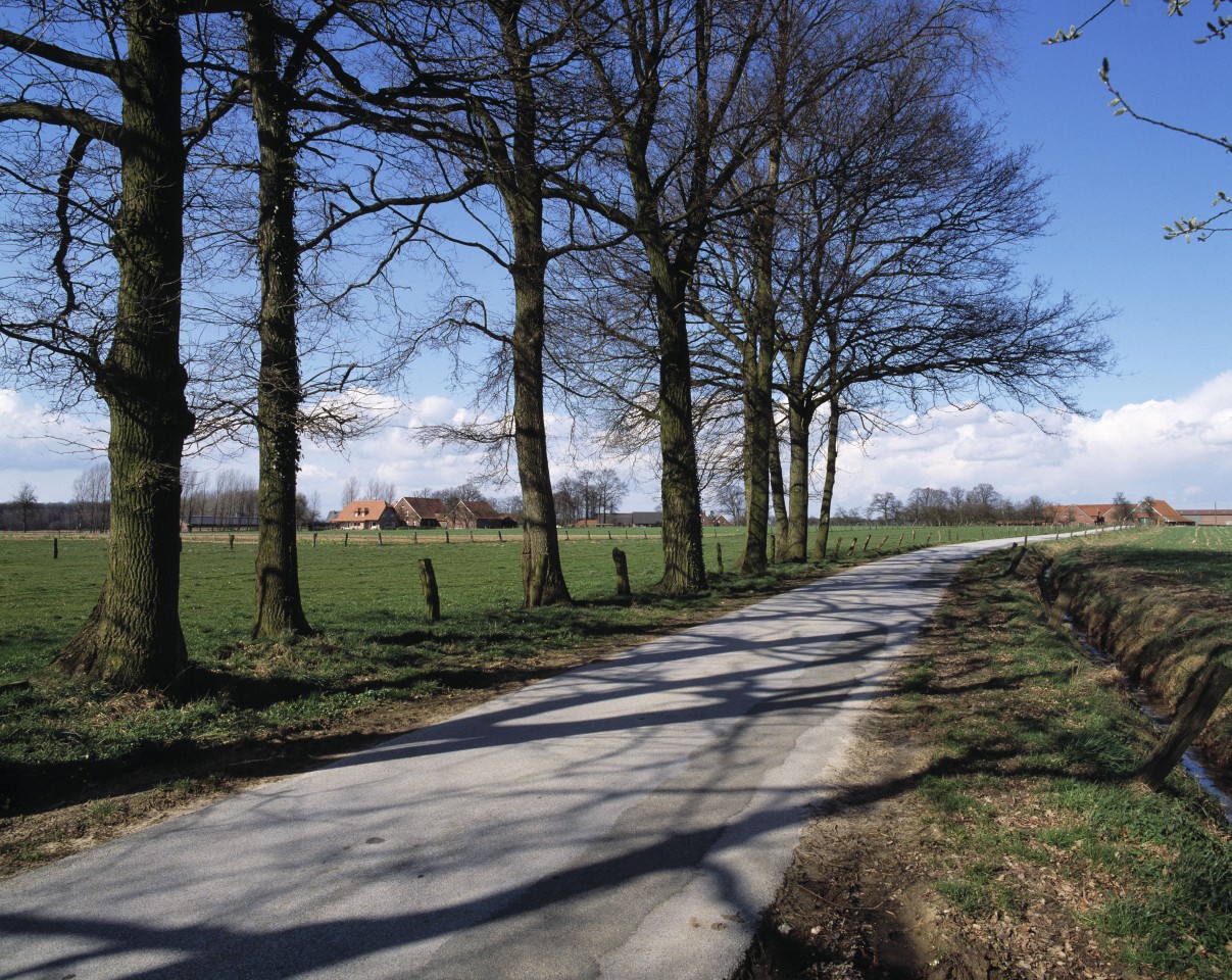 Die Leiche wurde in einem Straßengraben gefunden (Symbolbild). 