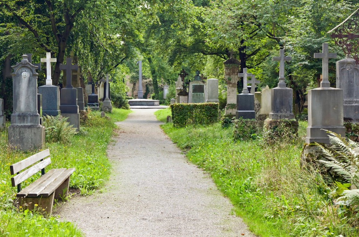 Schleswig-Holstein Kiel Elmershagen Friedhof Rehe.jpg