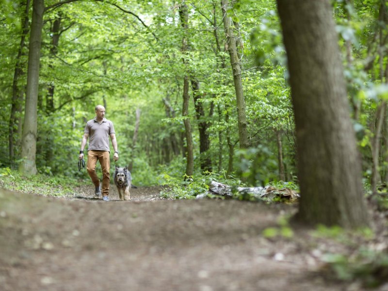 Schleswig-Holstein Lübeck Ostsee Hunde Hasser Hansa Park.jpg