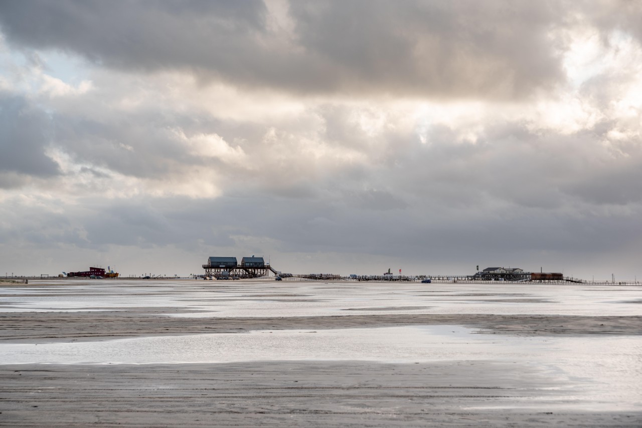 Eine Frau hat am Strand von Sankt Peter-Ording besondere Szenen beobachtet. (Symbolbild)