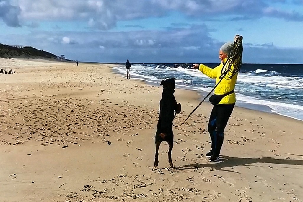 Buddy konnte sich am Strand richtig austoben. 