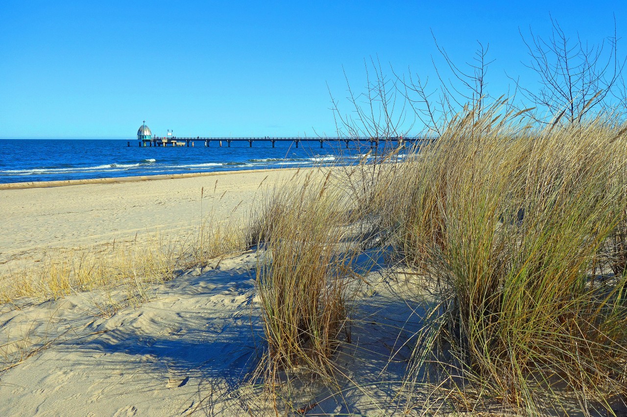 Am Strand von Usedom hat eine Frau einen beeindruckenden Fund gemacht. (Symbolbild)