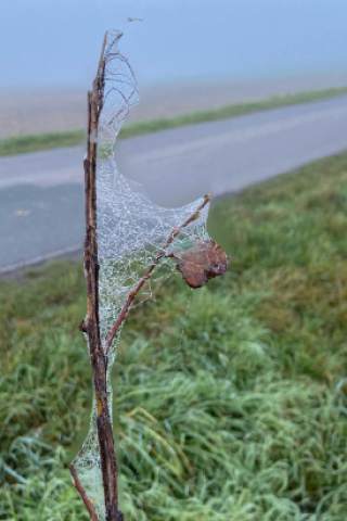 Dieses tolle Foto machte eine Frau auf Sylt