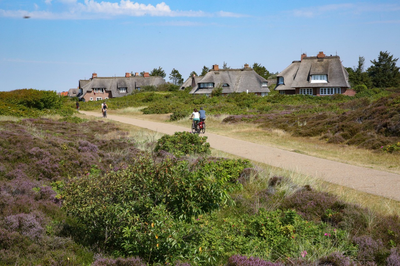 Traditionelle Reetdach-Häuschen auf Sylt: Oft mehrere Millionen wert.