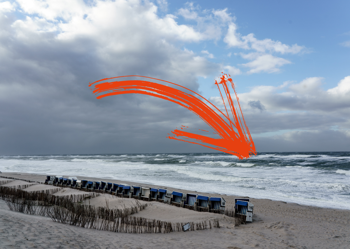 Sylt Nordsee Strand Erlebniszentrum Naturgewalten Wal Facebook Tier Zwergwal Naturschutz Urlaub Notfall