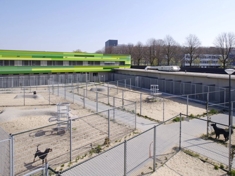 Tierschutz Hamburg Käfig.jpg