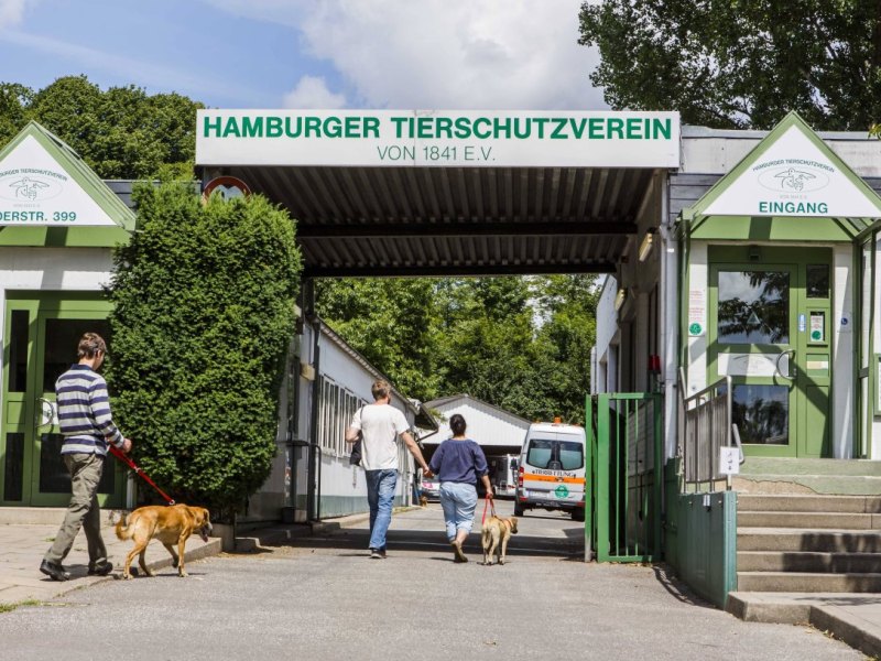 Tierschutzverein Hamburg.jpg
