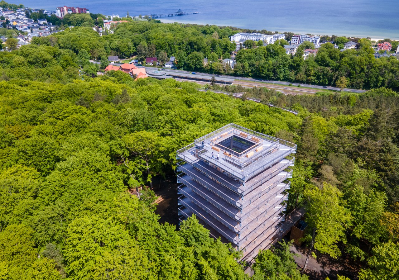 Der Baumwipfelpfad auf Usedom stößt auf geteiltes Echo.