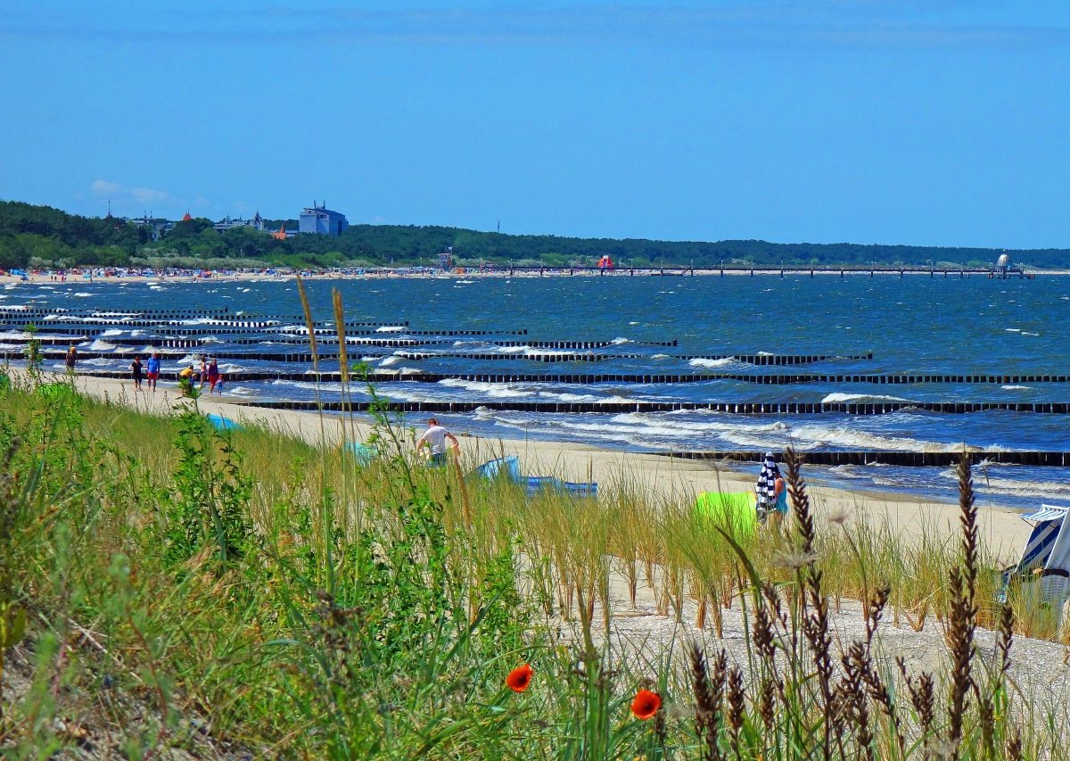 Usedom Rügen Ferienwohnung.jpg