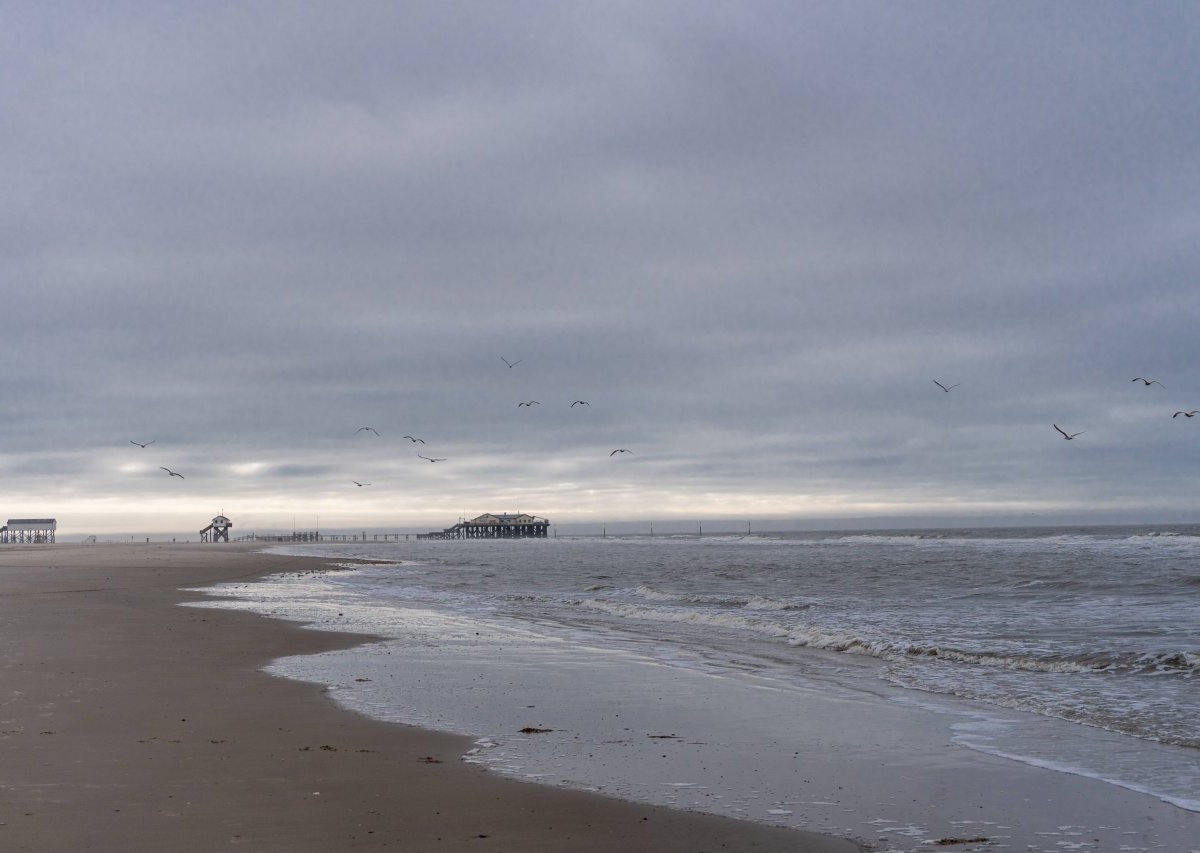 Wattenmeer Nordsee.jpg