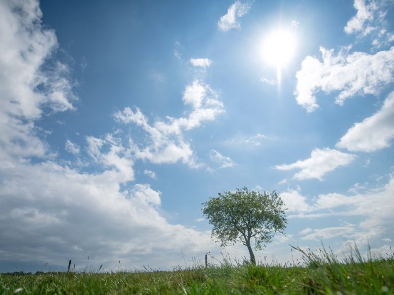 Wetter Hamburg Schleswig-Holstein Donnerstag Freitag.jpg