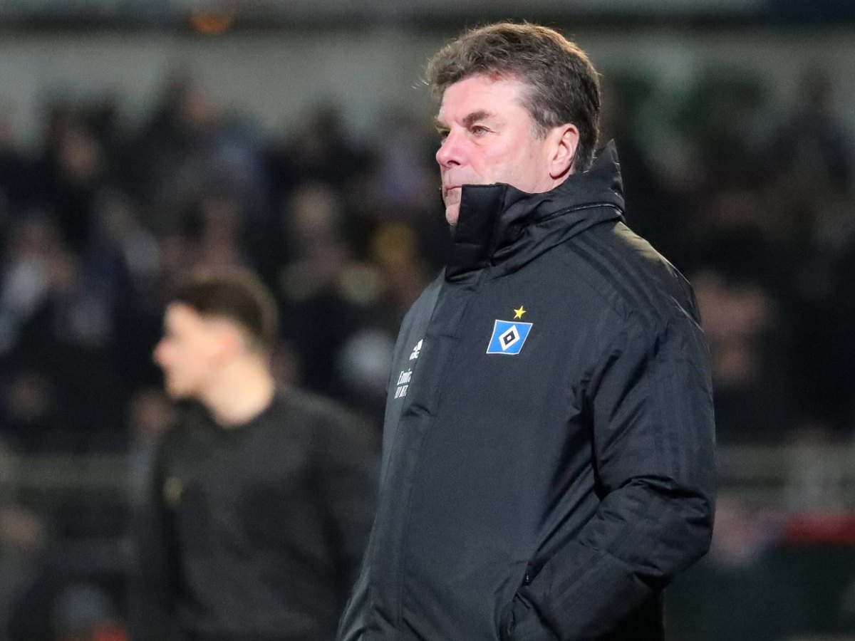 hamburger-sv-hecking