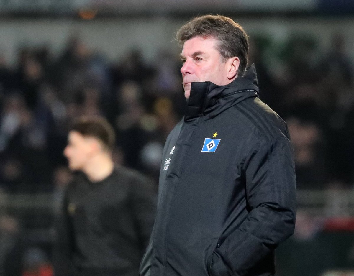 hamburger-sv-hecking