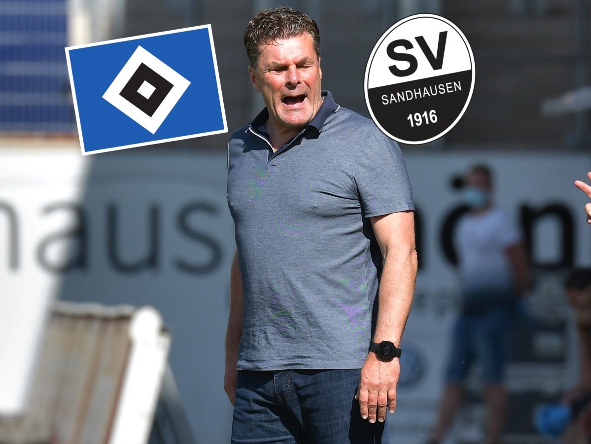 hamburger-sv-hsv-sandhausen-hecking