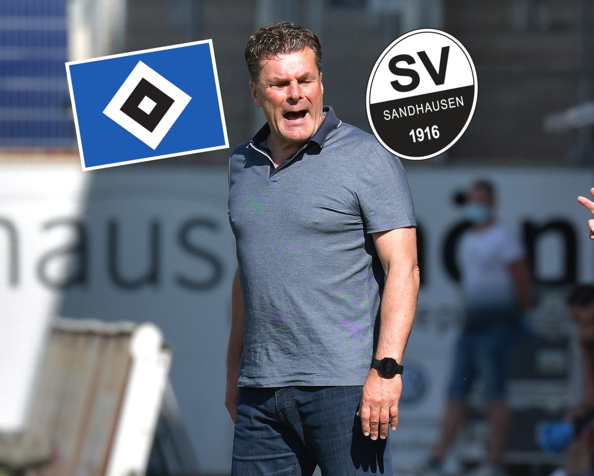 hamburger-sv-hsv-sandhausen-hecking