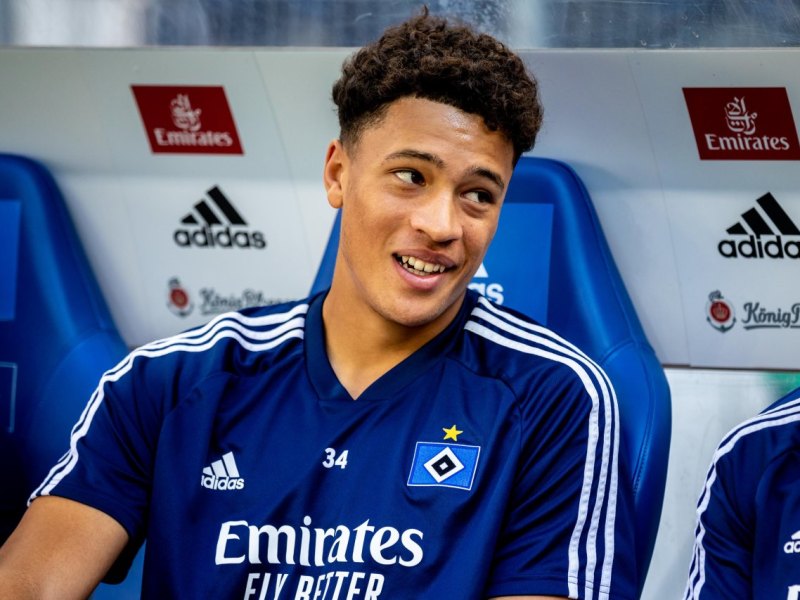 hsv-hamburger-sv-jonas-david