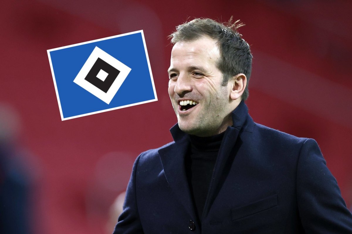 hsv hamburger sv rafael van der vaart