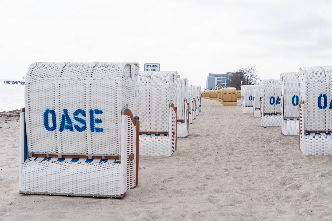 Camping: Strandkörbe stehen an der Ostee-Küste. 