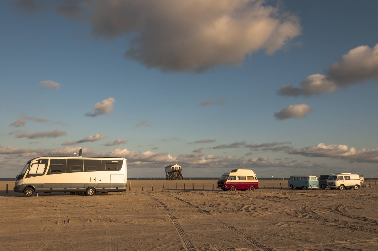 In der tierischen Folge von „Einmal Camping, immer Camping“ (Vox) fand Hündin Juna genug Auslauf am Strand von Sankt Peter-Ording.  