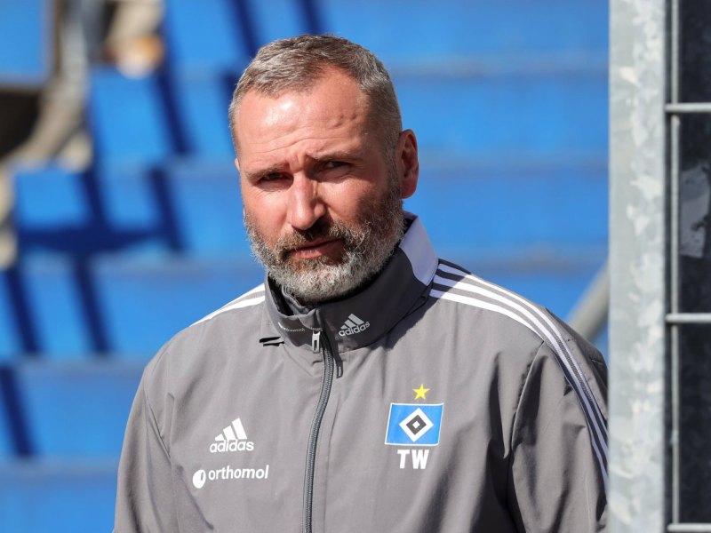 Hamburger SV.jpg