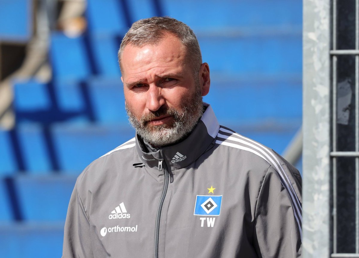 Hamburger SV.jpg