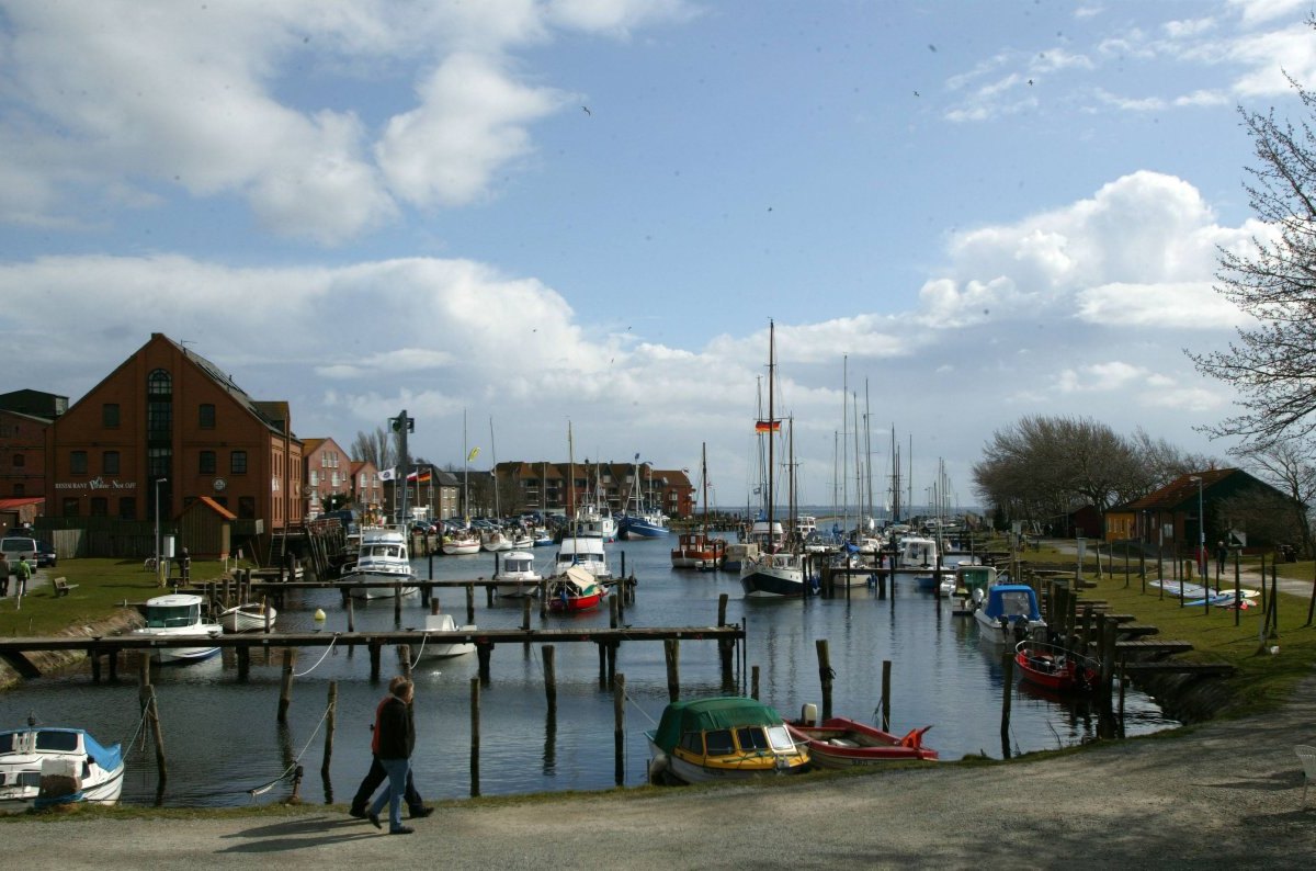 Nord bei Nordwest Fehmarn.jpg