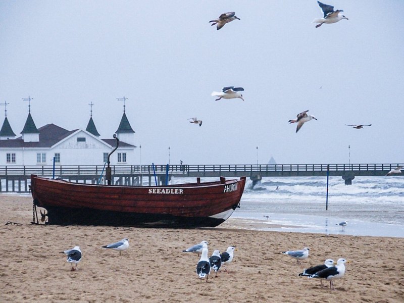 Nordsee.jpg