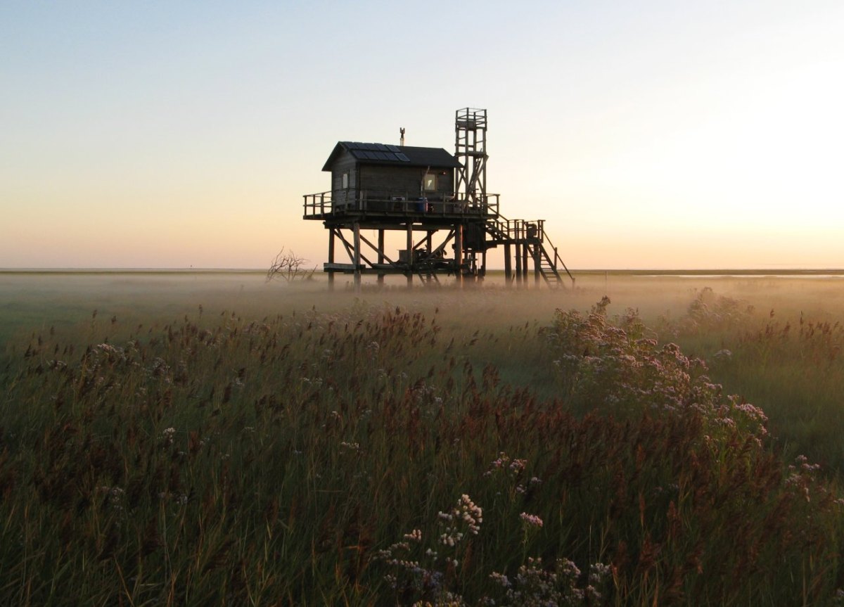 Nordsee Trischen.jpg