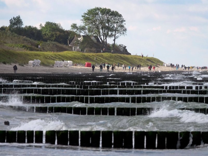 Ostsee Darss.jpg