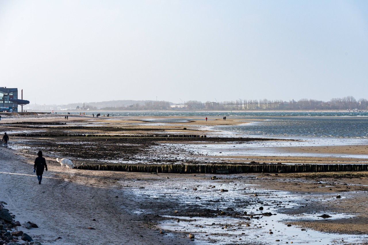 Auf einmal ist der Strand an der Ostsee viel breiter. 