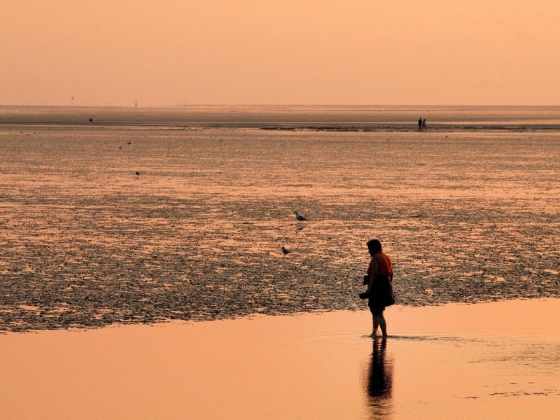 Watt Nordsee Büsum.jpg