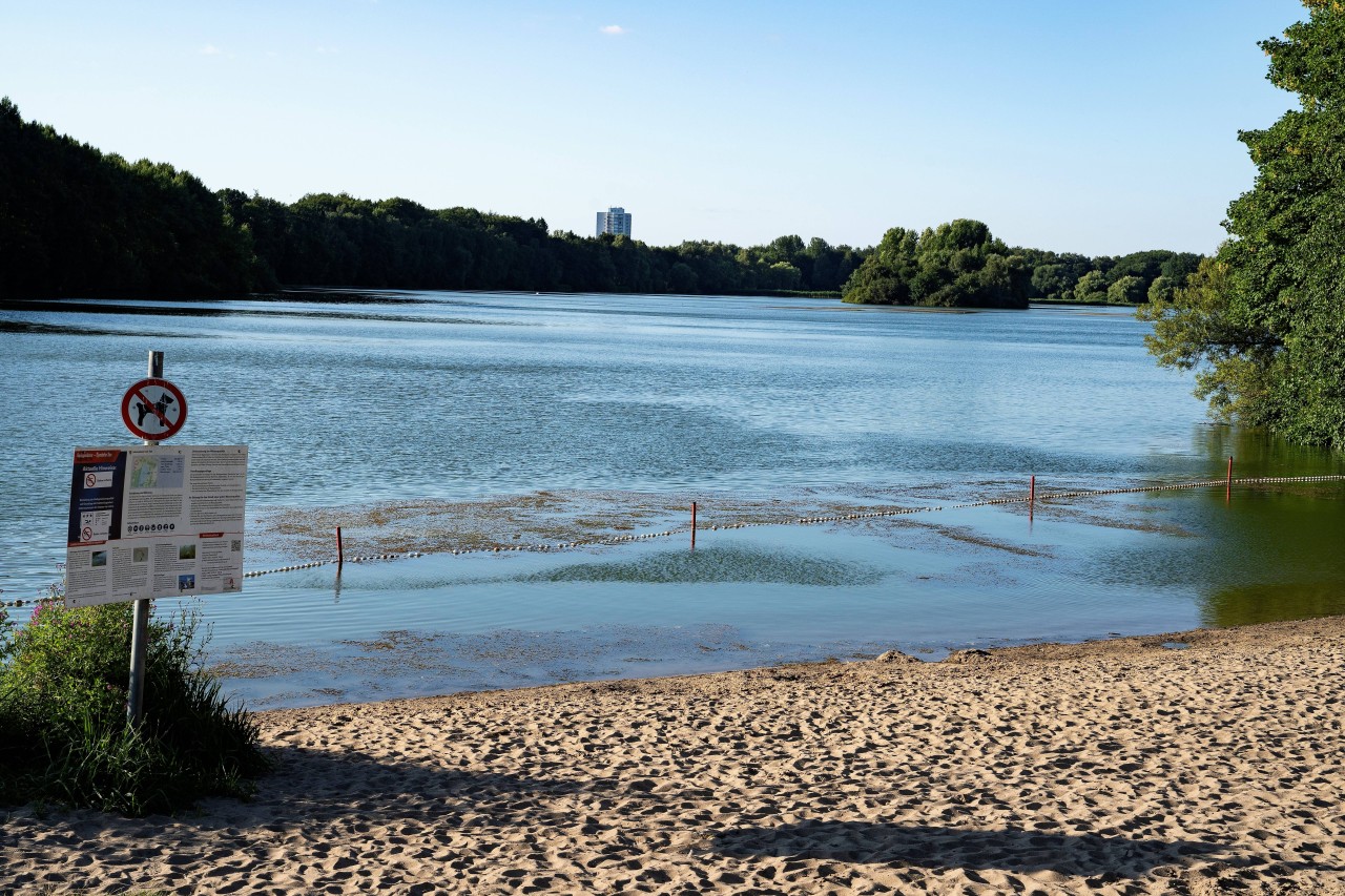 Sollte es zu weiterem Blaualgenbefall in Hamburg kommen, werden die betroffenen Seen ebenfalls gesperrt. 