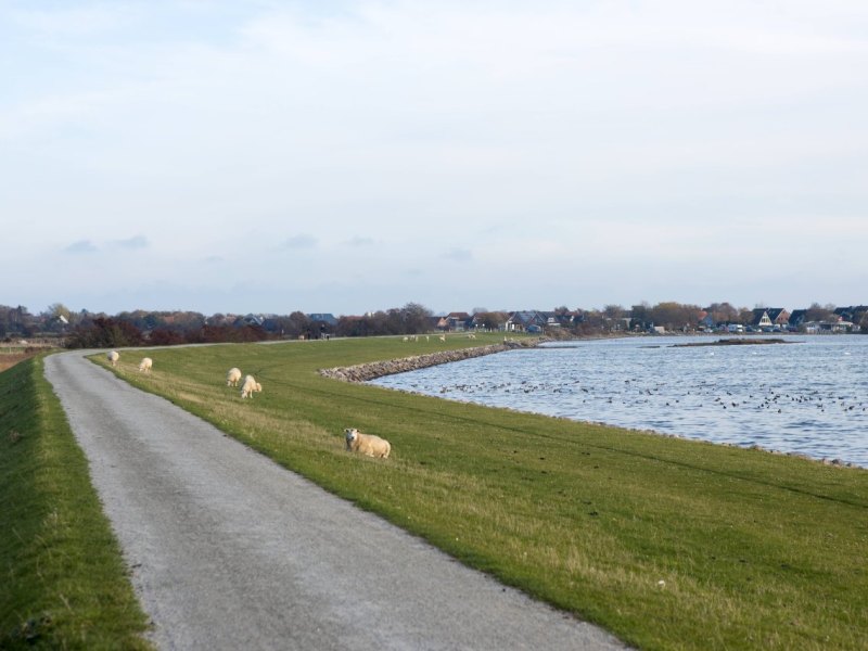 Fehmarn.jpg